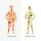 Fat and slender man vector illustration. Healthy food vs fastfood. Healthy and unhealthy nutrition. Human body and junk