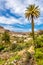 Fataga Village In Barranco de Fataga-Gran Canaria