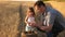 Father is an agronomist and small child is playing with grain in bag on a wheat field. Dad farmer plays with little son