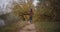 Father is carrying little son on shoulders, walking in forest at autumn day, following shot, family rest at nature at