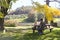 Father and Child Picnic under Trees at Apple Orchard