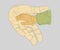 Father and child\\\'s hand hold each other colorized shape and line