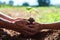 father and children help plant trees to help reduce global warming.