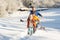 Father And Children Pulling Sledge Up Snowy Hill