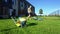 Father cutting lawn with lawn mower while son play with toy mower. Gimbal motion