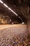 Father cycling through a tunnel with his child