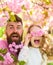 Father and daughter on happy face play with flowers as glasses, sakura background. Girl with dad near sakura flowers on