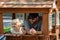 Father and daughter playing in playhouse in backyard