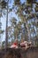 Father with daughter in swimming suit sitting in camping armchair and eating roasted sausage