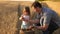 Father farmer plays with little son, daughter in the field. grain of wheat in hands of child. Dad is an agronomist and