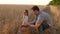 Father farmer plays with little son, daughter in field. Grain of wheat in hands of a child. Dad is an agronomist and