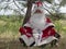 Father Frost meditates outdoors.