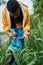 Father helping examining the grass to his little curious son during the walking