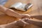 Father with his child praying at wooden table, closeup