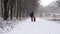 Father and his little daughter are walking in the park in a snowstorm. Slow motion
