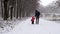 Father and his little daughter are walking in the park in a snowstorm. Slow motion. Back view