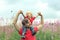 Father and his little son have fun on blooming fireweed field. Cute toddler boy sits on his father`s shoulders and looks at the b