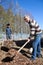 Father and his son working together, gardener remove dried leaves from ground with shovel, stacking in wheelbarrow