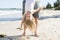 Father holding sweet young and lovely blond small daughter by her feet playing having fun on the beach in dad and little girl love