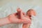 Father holds the feet of newborn. Small legs of child in the hands of parent close-up. Newborn baby care concept