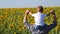 The father holds his son on his shoulders and walks through a field of sunflowers. Happy family of farmers.