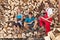 Father and kids prepared to chop firewood and stack it into a wood shed