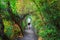 Father with little daughter on hiking path, Mount Manaia.