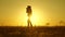 Father and little daughter whirl in dance at sunset. Dad is dancing with a child in her arms in field in sun. happy