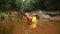 Father Little Girl in Arm-bands Gambol in Pond among Rocks