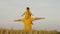 father with little girl play in wheat field in summer, happy family, kid and dad feeling of flying, farmer small