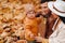 Father and mother with son walking in the autumn Park. A family walks in the Golden autumn in a nature Park.