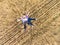 Father, mother and toddler daughter lying back on dry wheat field, top view from drone, quadcopter remote control is in men hand