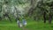 Father, mother and two daughters walking in spring park in blooming tree garden