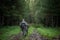 Father pointing and guiding son on first deer hunt