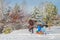 Father rides children on a sled. Walking on a frosty winter day in nature with family