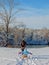 Father rides children on a sled. Walking on a frosty winter day in nature with family