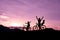 Father riding a bike with family members