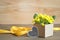 Father\'s Day gift: Yellow primrose flowers arranged in gift box