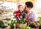 Father and small toddler son indoors at home, watering flowers.