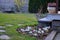 father and son, both botanists, observe blooming spring bulbs