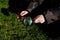 father and son, both botanists, observe blooming spring bulbs