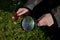 father and son, both botanists, observe blooming spring bulbs