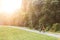 Father and son cycling in a forest on a path in sunset with beautiful lighting lens flare