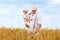 Father and son, farmers on wheat field