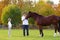 Father and son feeding horse on sunny day