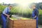 Father and son gardening on a raised planting bed in a garden