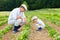 Father and son gardening on their homestead