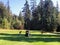 Father and son golfing surrounded by lakes and forest on a beautiful summer day along the sunshine coast, British Columbia