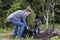 Father and son plant young tree in the garden. Concept family work, hobbies, planting seedling