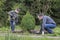 Father and son planted young tree in the garden and leveled the ground with rake